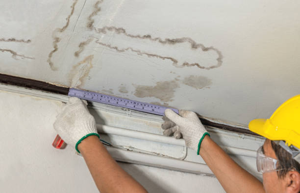 Reliable Water Damage contractor in Arapahoe, NC by Water Damage Irwin